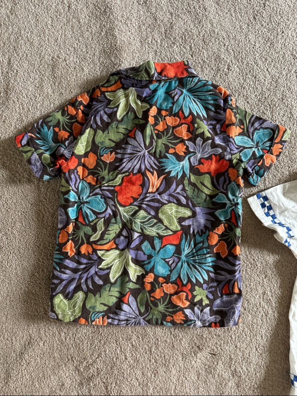 Toddler Boy Button Down Set - Picture 5 of 5